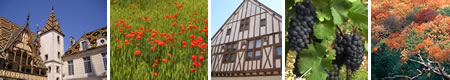 Dijon and Beaune