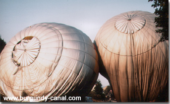 Ballooning in Burgundy