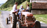 Rush hour in the village
