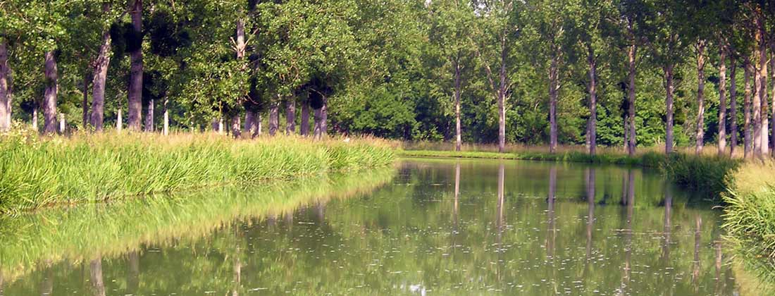 A view across the water