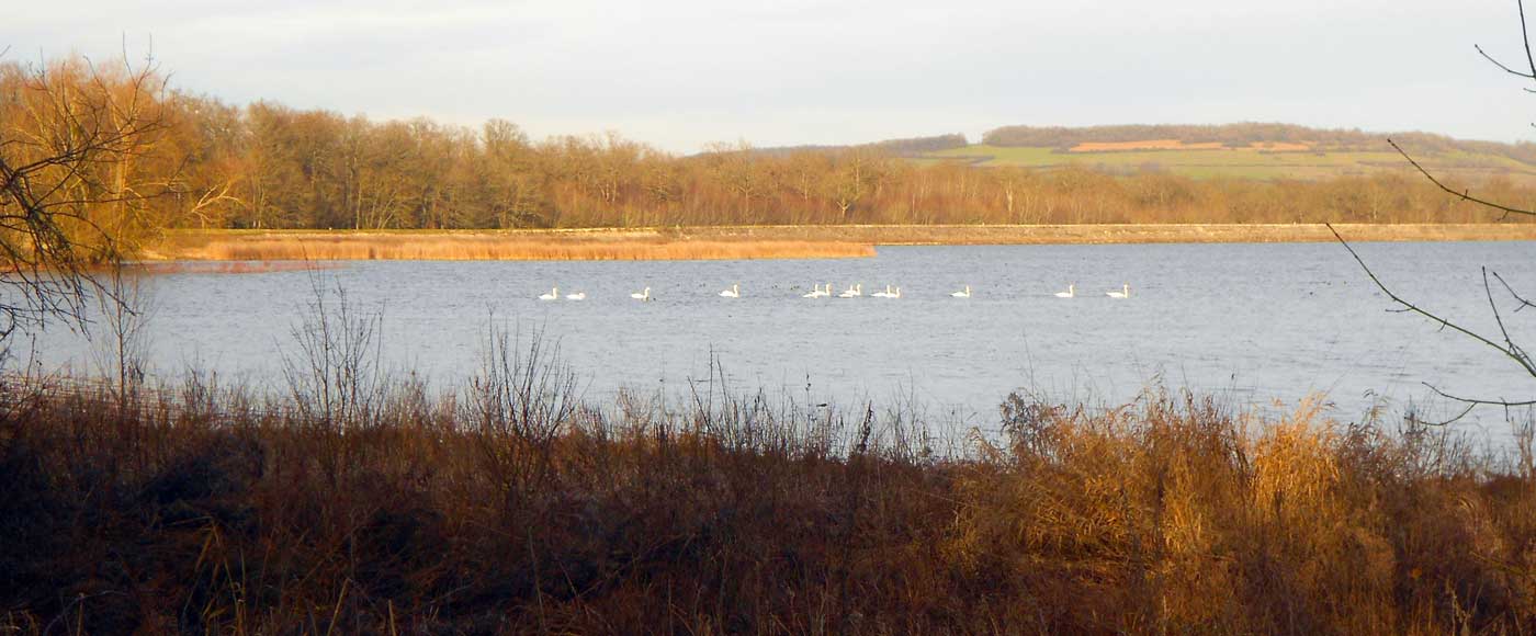 The reservoir of Cercey