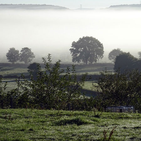 Misty morning