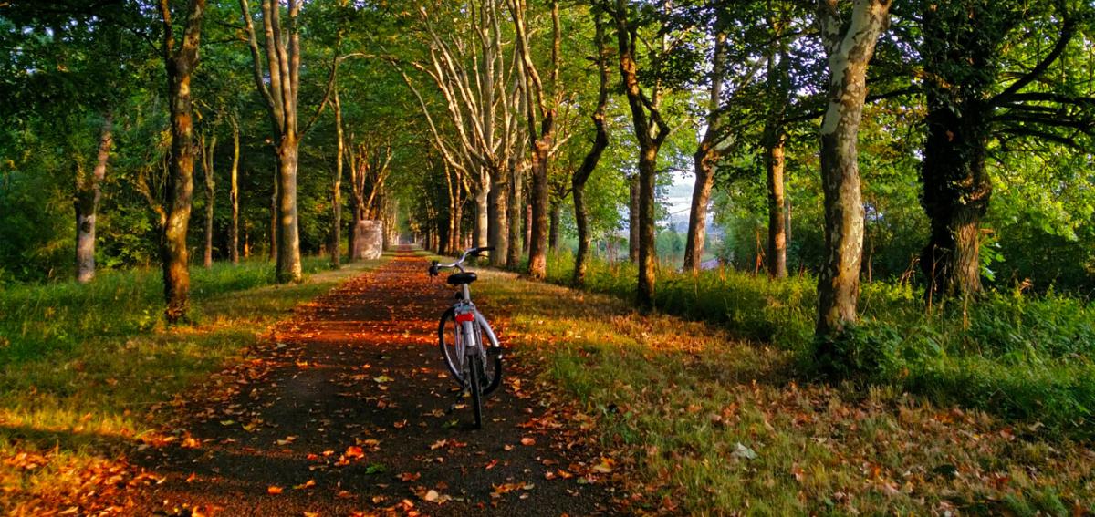 Cycling along the Burgundy canal