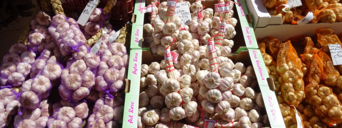 French garlic market stand