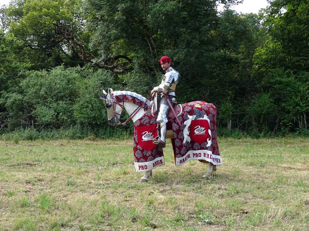 Jousting