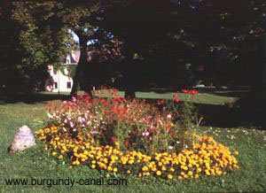 Burgundy abbey